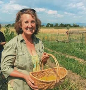 Calendula harvest